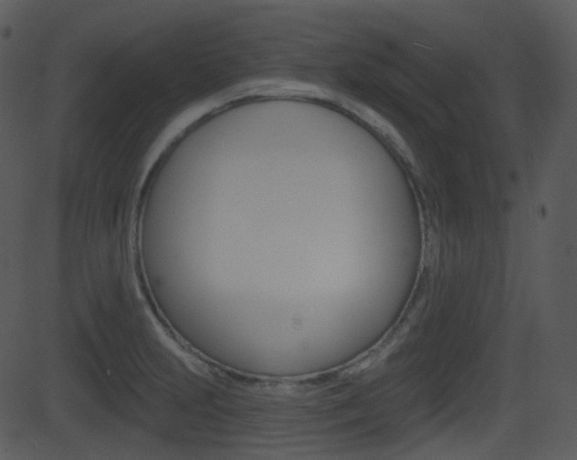 X0000081581231200701150952