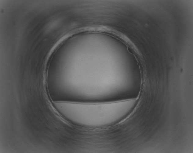 X0000081581232200701150952