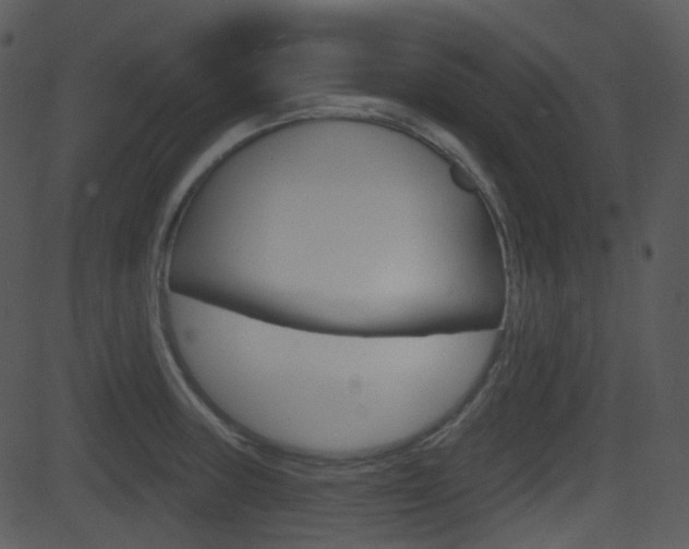 X0000081581235200701150952