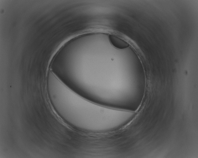 X0000081581236200701150952