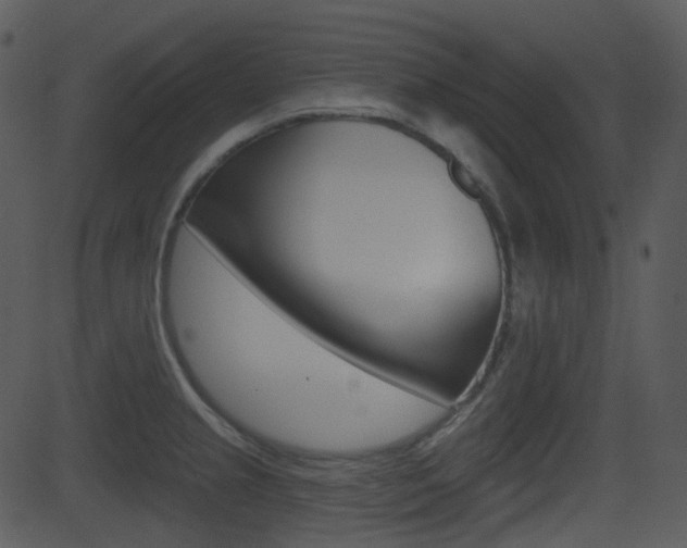 X0000081581237200701150952