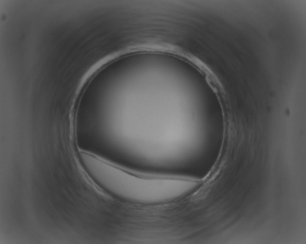 X0000081581238200701150952