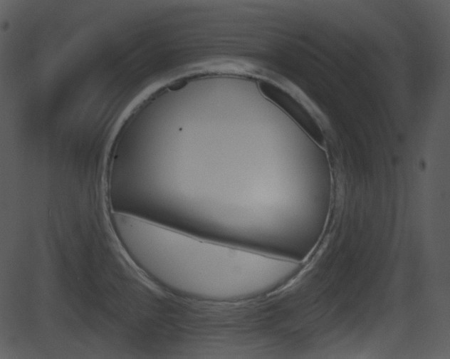 X0000081581240200701150952