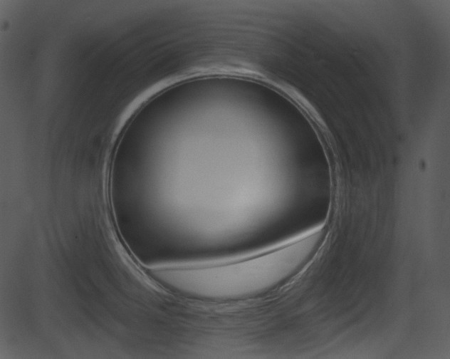 X0000081581246200701150952