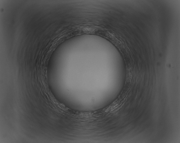 X0000081581249200701150952