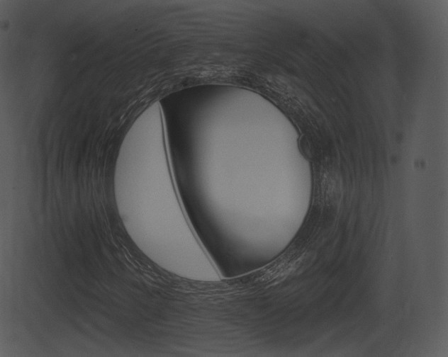 X0000081581250200701150952