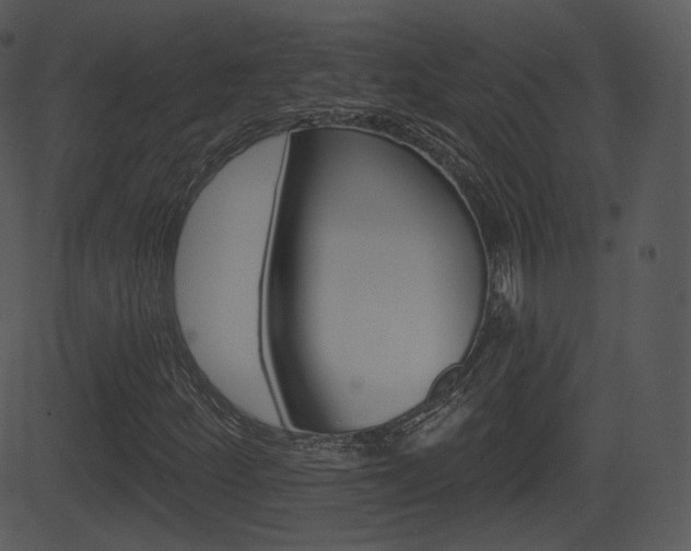 X0000081581252200701150952
