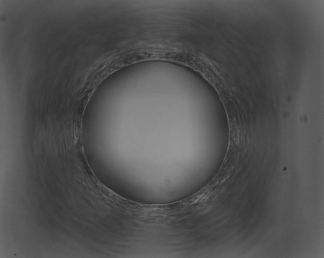 X0000081581253200701150952