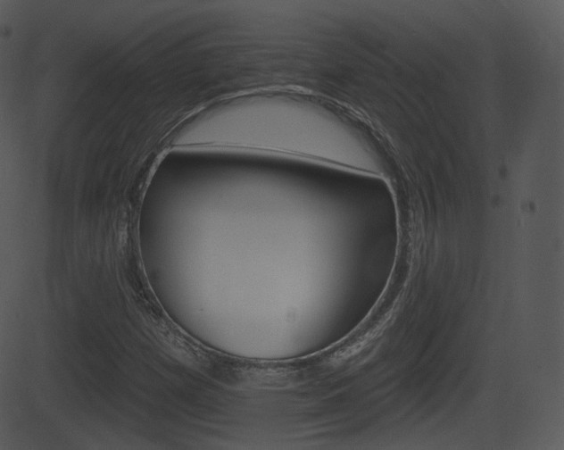 X0000081581257200701150952