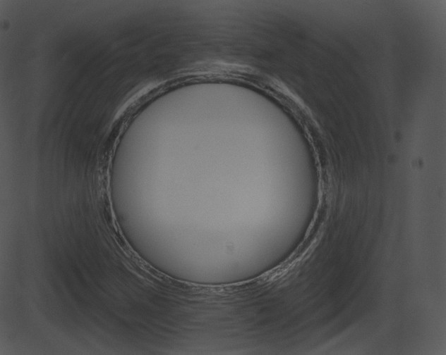 X0000081581259200701150952