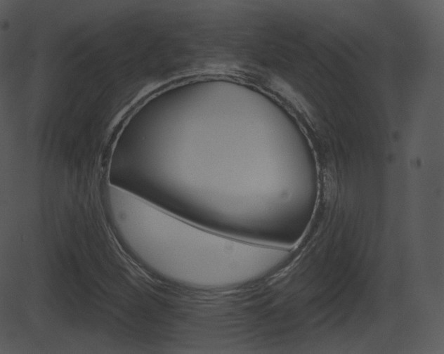 X0000081581260200701150952