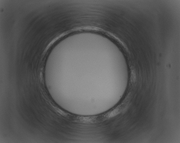 X0000081581266200701150951