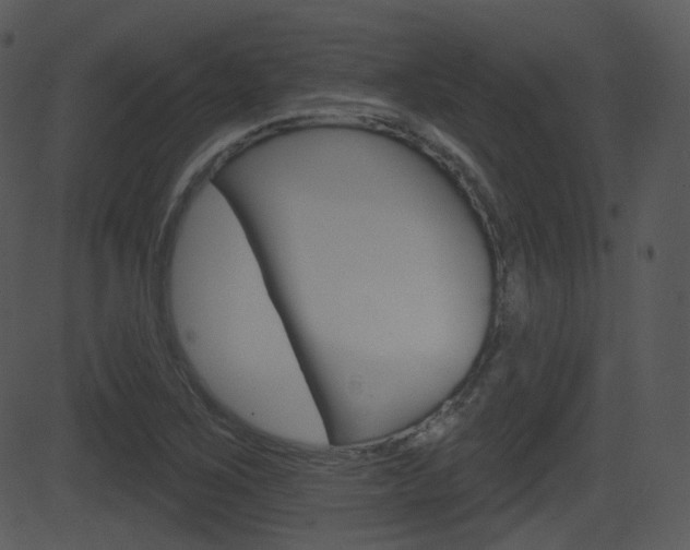 X0000081581267200701150951