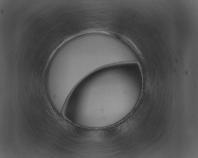X0000081581268200701150951