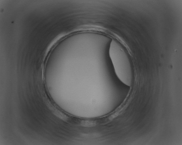 X0000081581275200701150951
