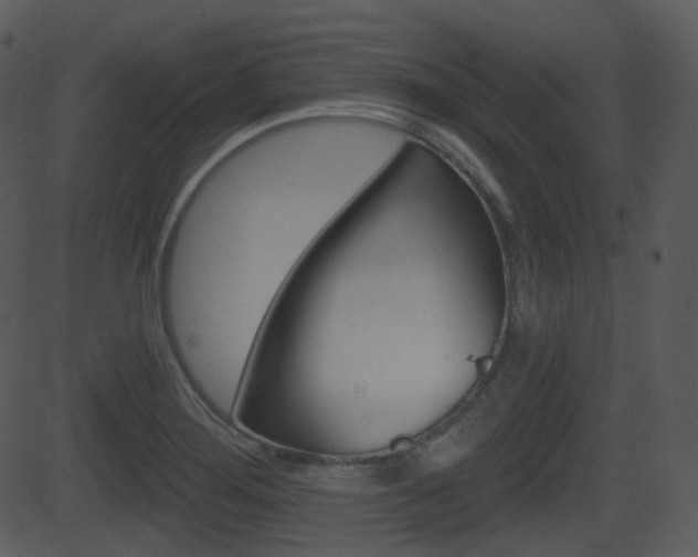 X0000081581276200701150951