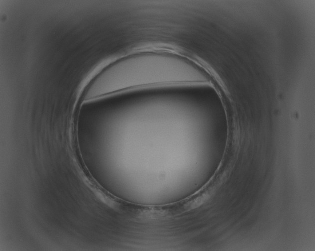 X0000081581277200701150951