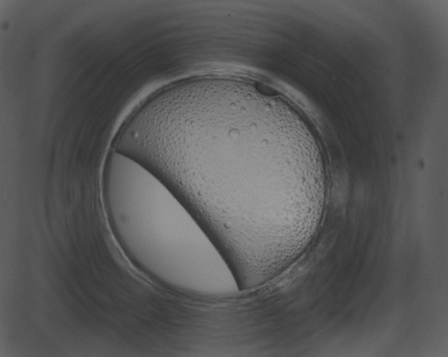 X0000081581283200701150951