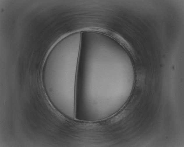 X0000081581284200701150951