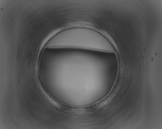 X0000081581285200701150951