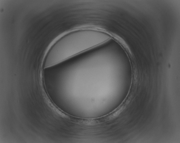 X0000081581288200701150951