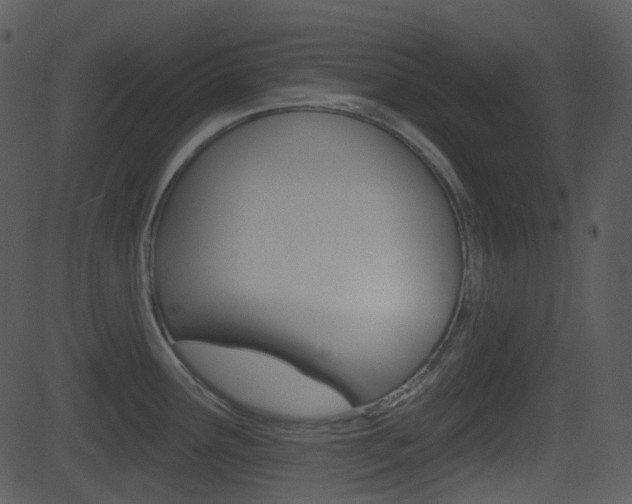 X0000081581291200701150951