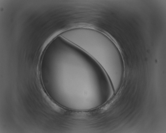 X0000081581293200701150951