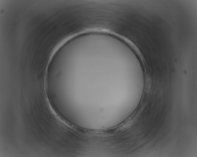 X0000081581295200701150951
