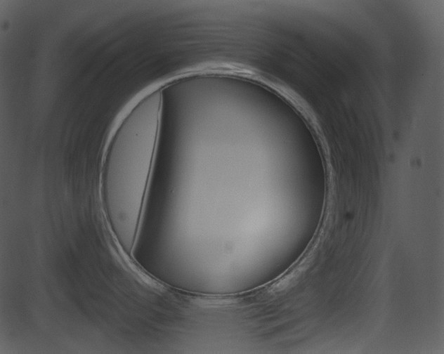 X0000081581296200701150951