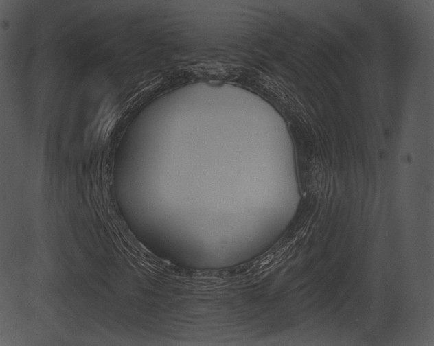 X0000081581297200701150950