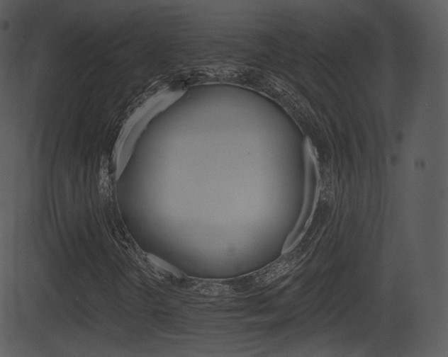 X0000081581298200701150950