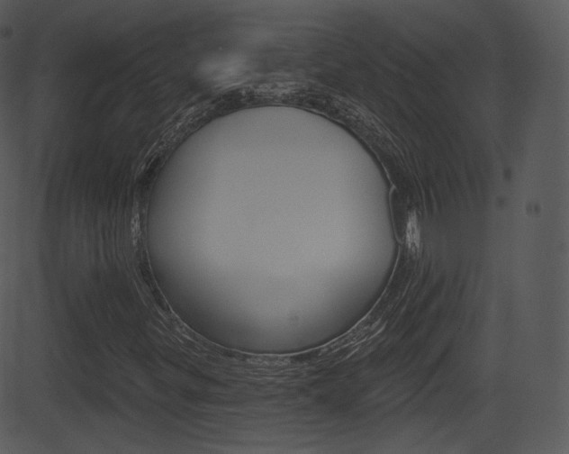 X0000081581299200701150950