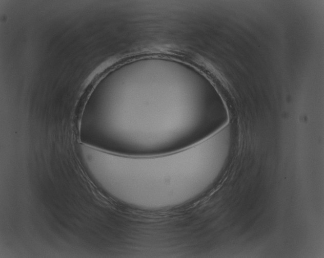 X0000081581308200701150950