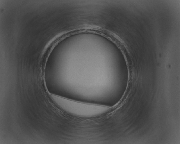 X0000081581310200701150950