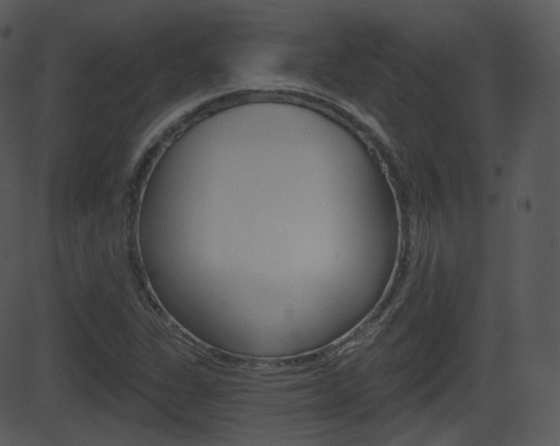 X0000081581311200701150950