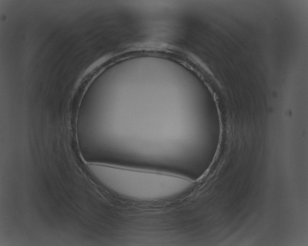 X0000081581315200701150950