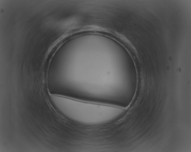 X0000081581318200701150951
