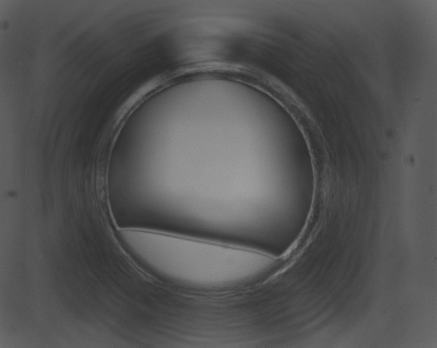 X0000081581321200701150951