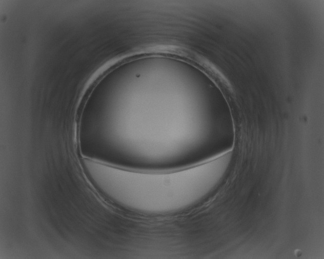 X0000081581324200701150951