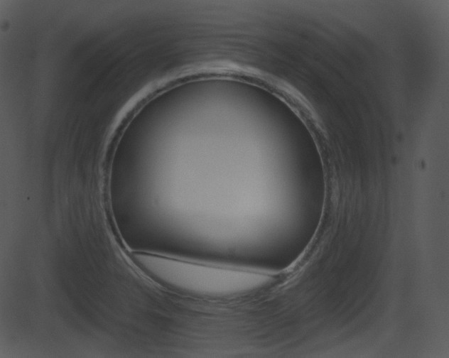 X0000081581326200701150951