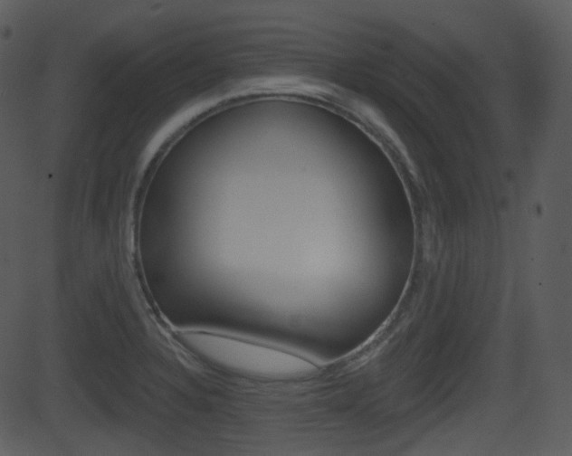 X0000081581328200701150951
