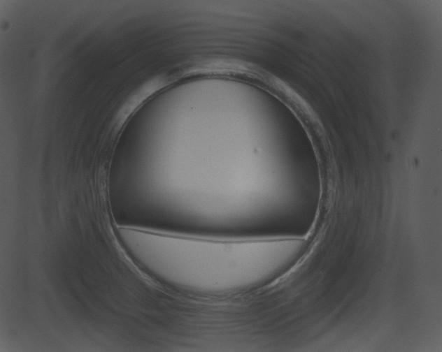 X0000081581329200701150951