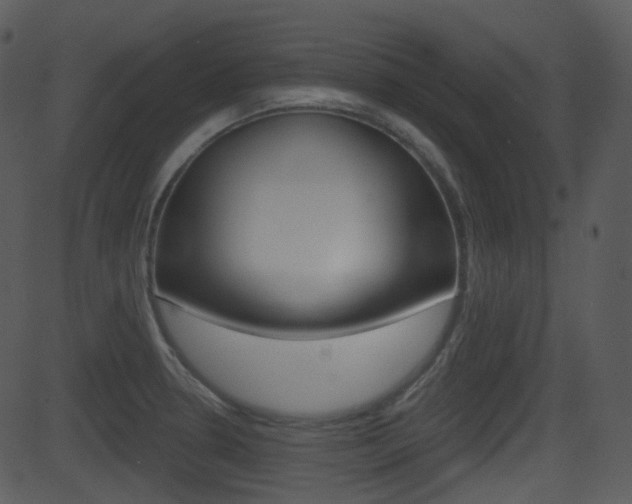 X0000081581330200701150951