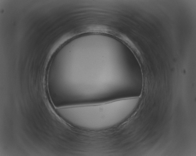X0000081581331200701150951