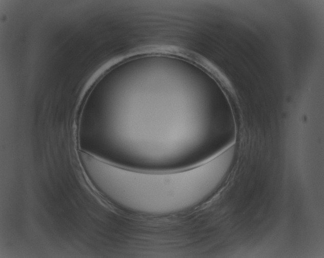 X0000081581332200701150951
