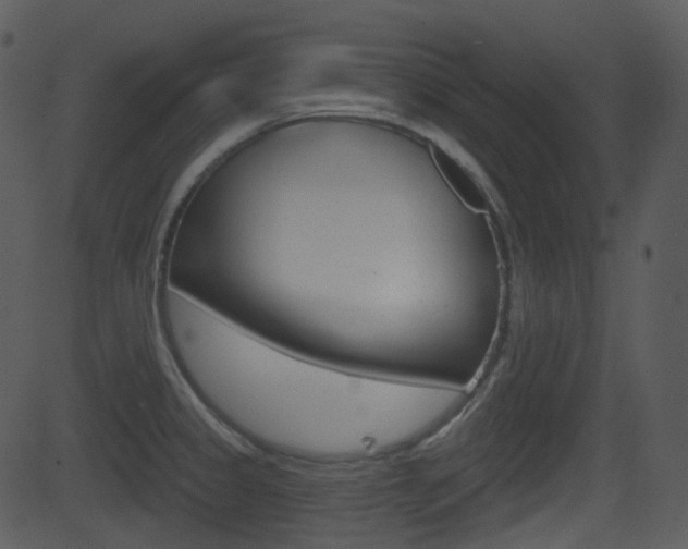 X0000081581333200701150951