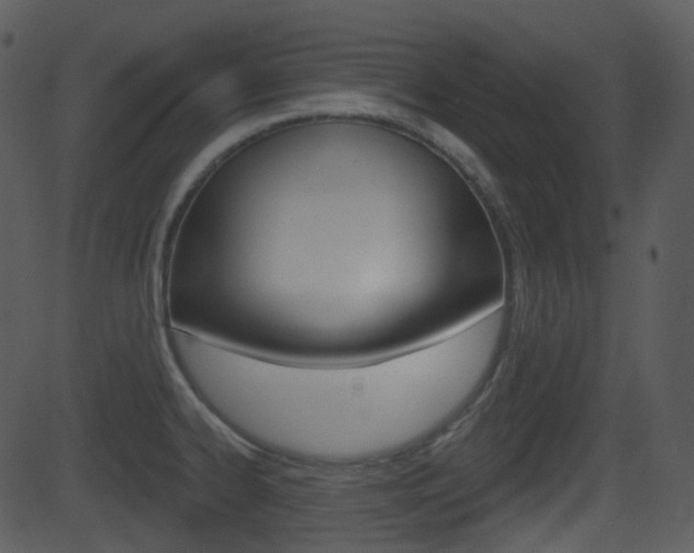 X0000081581334200701150951