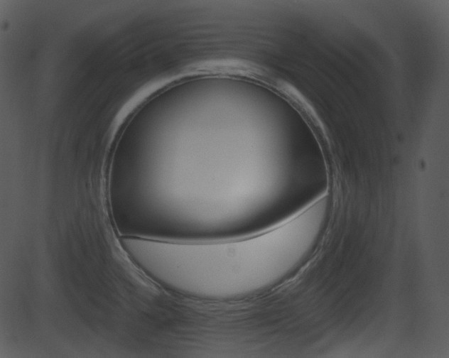 X0000081581336200701150951