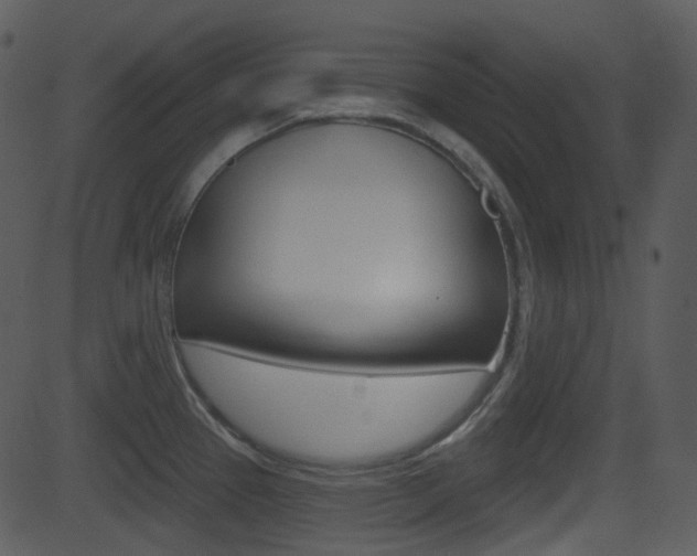 X0000081581337200701150951