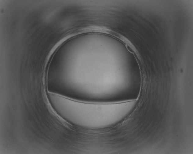 X0000081581339200701150951